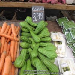 Location: On a local fruit and vegetable market, Rio de Janeiro, Brazil
Date: 2014-02-02