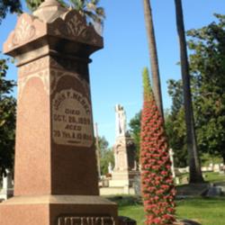 Location: Hamilton Square perennial garden Historic City Cemetery, Sacramento CA.
Date: 2014-04-14