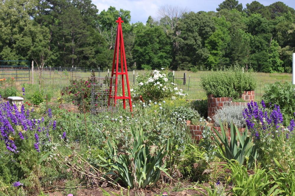 ATP Podcast 56 Saving Money by Growing Your Own Food