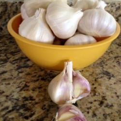 Location: In backyard garden, Elk Grove, CA
Date: 2014-6-28
Our first garlic harvest was a success.  I have put away five big