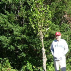 Location: Nursery where we purchased it.
Date: 2012-1013
Jack standing next to the tree.