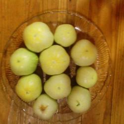 Location: murchison, tx
Date: 2014-07-09 
lemon cucumber's