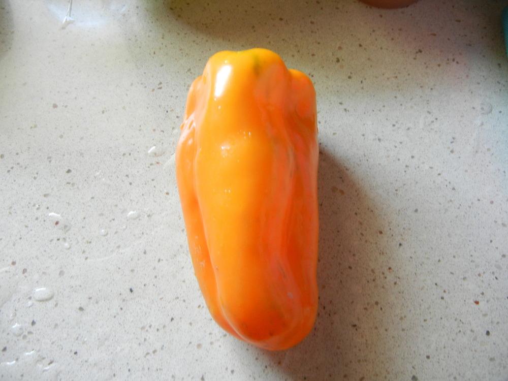 Photo of Bell Pepper (Capsicum annuum 'Orange Blaze') uploaded by KentPfeiffer
