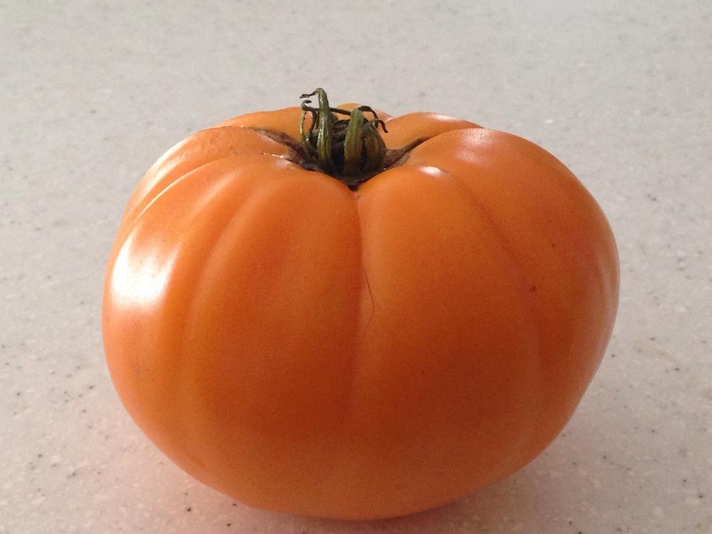 Photo of Tomato (Solanum lycopersicum 'Kellogg's Breakfast') uploaded by SCButtercup