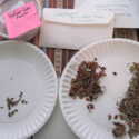 Plain White Paper Plates Help Seed Sorting