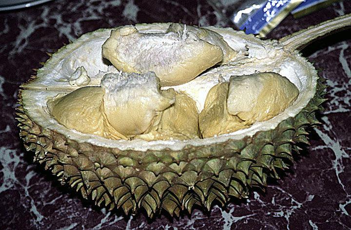 Photo of Durian (Durio zibethinus) uploaded by admin