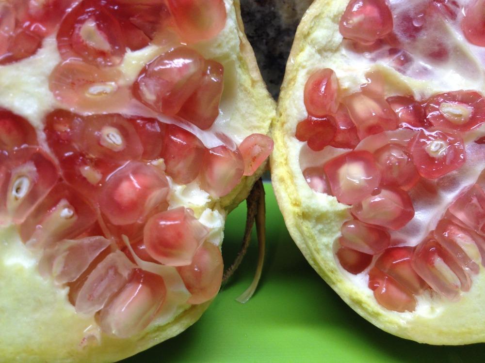 Photo of Pomegranate (Punica granatum 'Eversweet') uploaded by Ecograndma
