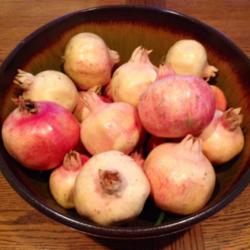 Location: In backyard garden, Elk Grove, CA
Date: 2014-11-2
Light pink skin on this sweet pomegranate