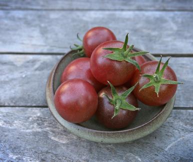 Photo of Tomato (Solanum lycopersicum 'Black Cherry') uploaded by Calif_Sue