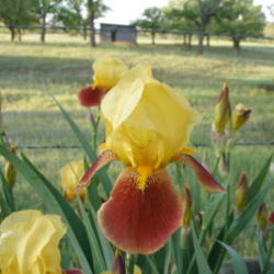 Location: north central Texas
Date: 2005-04-14