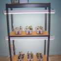 Create Your Own Grow-Light Shelving Unit