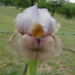 Location: north central Texas
Date: 2004-04-24