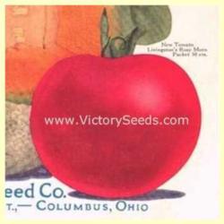 
1923 Livingston Seed Co. catalog image.