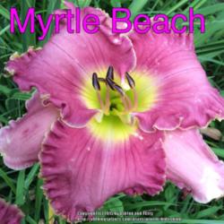 Location: Jones OK,
Date: June 2014
Myrtle Beach