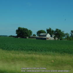 Location: Pickaway county, OH
Date: 2013-06-11