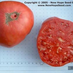 
Image used courtesy of the New Hope Seed Company