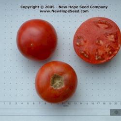 Location: Bon Aqua, TN
Date: 2005
Image used courtesy of the New Hope Seed Company