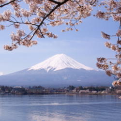 Location: Mount Fuji
Date: 2010-04-27
Photo courtesy of: Midori