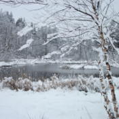 Winter snow with pond in background