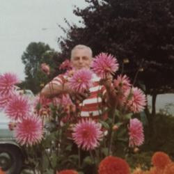 
Date: Peace Arch Park Blaina, Washington 1980
Ed Albright tending to his flowers named after him