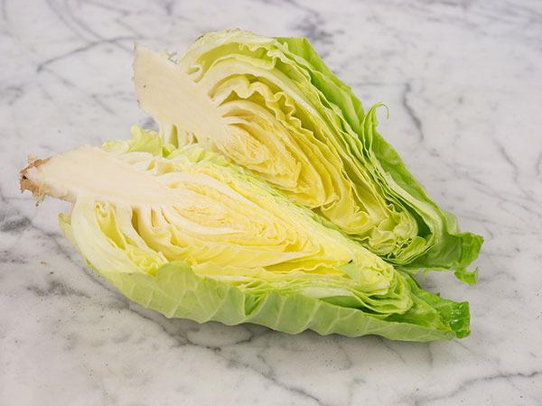 Photo of Cabbage (Brassica oleracea var. capitata 'Early Jersey Wakefield') uploaded by Joy