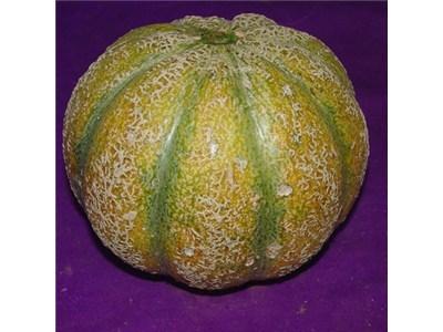 Photo of Melon (Cucumis melo var. inodorus 'Ananas d'Amerique a Chair Verte') uploaded by Joy