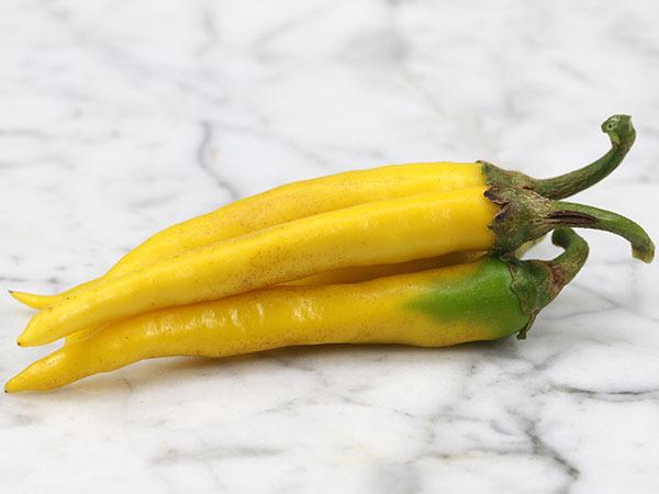 Photo of Hot Pepper (Capsicum annuum 'Golden Cayenne') uploaded by Joy