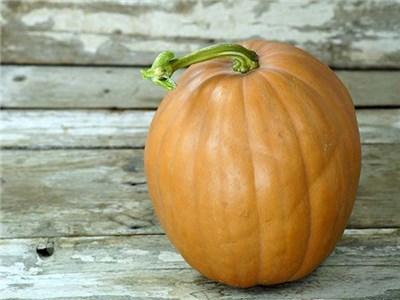 Photo of Pumpkin (Cucurbita moschata 'Dickinson') uploaded by Joy