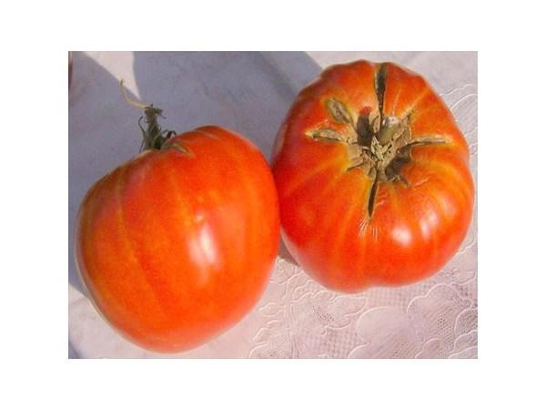 Photo of Tomato (Solanum lycopersicum 'Delicious') uploaded by Joy