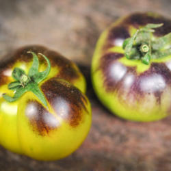 
 Photo Courtesy of Baker Creek Heirloom Seeds. Used with permissi
