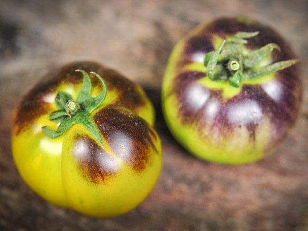Photo of Tomato (Solanum lycopersicum 'Wagner Blue Green') uploaded by Joy