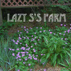 
Photo Courtesy of Lazy S'S Farm Nursery.