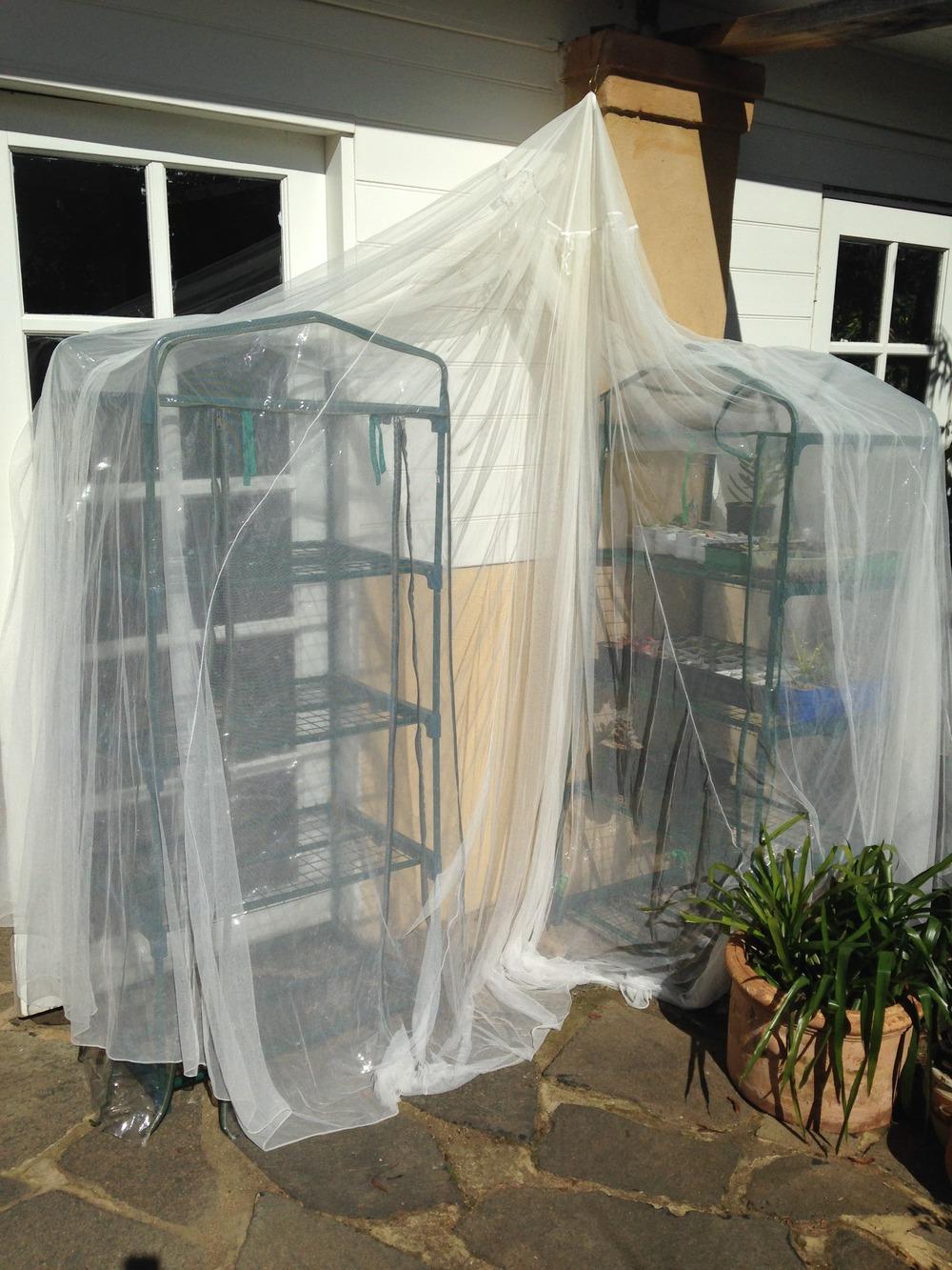 Details about   Black Shade Tarp Sun Shade Mesh Plant Bug Net Fruit Net Canopy Net 8x16 