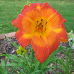 Location: Galak's Garden, Indianapolis, Indiana
Date: 2012-06-28
Key West Sunset