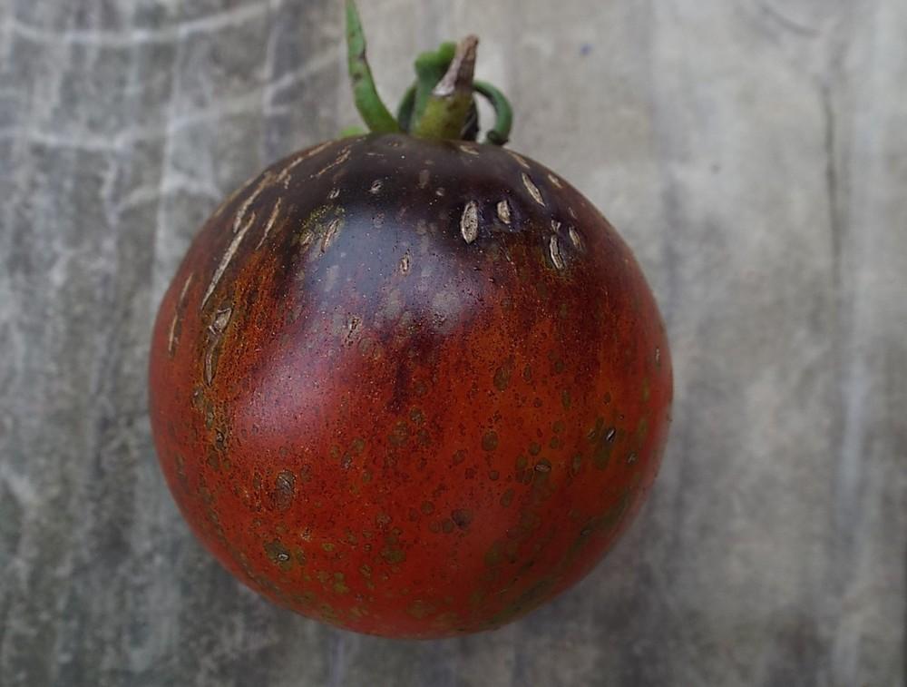 Photo of Tomato (Solanum lycopersicum 'Dark Galaxy') uploaded by poisondartfrog