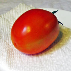 Location: My Gardens
Date: July 6, 2015
First Time Tomato: Also First Ripe!