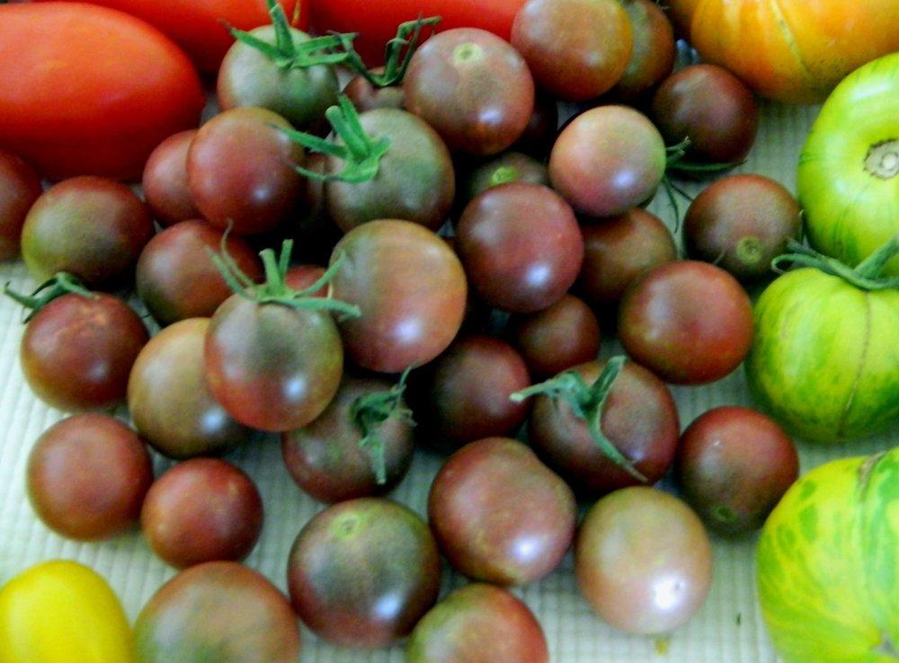 Photo of Tomato (Solanum lycopersicum 'Black Cherry') uploaded by wildflowers