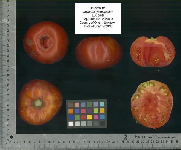 Photo of Tomato (Solanum lycopersicum 'Delicious') uploaded by admin