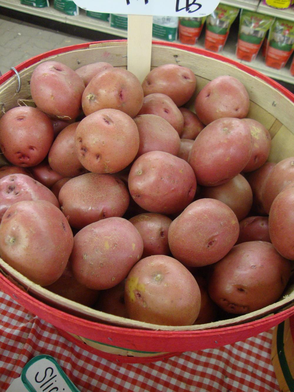 Photo of Potato (Solanum tuberosum 'Red Pontiac') uploaded by Paul2032