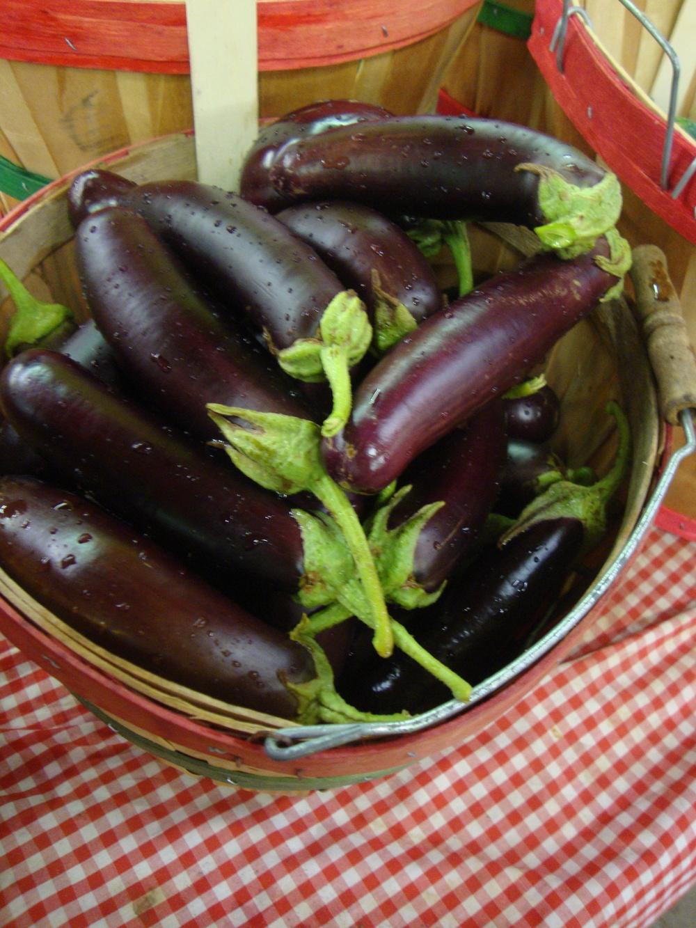 Photo of Eggplant (Solanum melongena 'Orient Express') uploaded by Paul2032