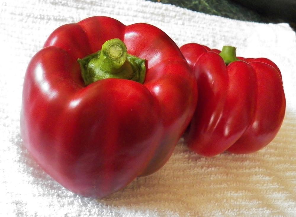 Photo of Peppers (Capsicum) uploaded by MissyPenny