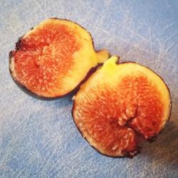 Location: St. Petersburg, FL
Date: August 2015
The inside of the fruit from my fig tree.  Delicious, but slightl