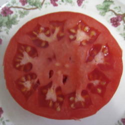 Location: Concord, NC zone 7
Date: 2015-10-20
One of the best tomatoes!  Flavor and appearance have greatly imp