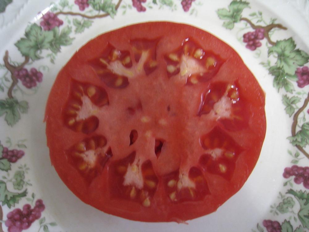 Photo of Tomato (Solanum lycopersicum 'Rose') uploaded by Hemophobic