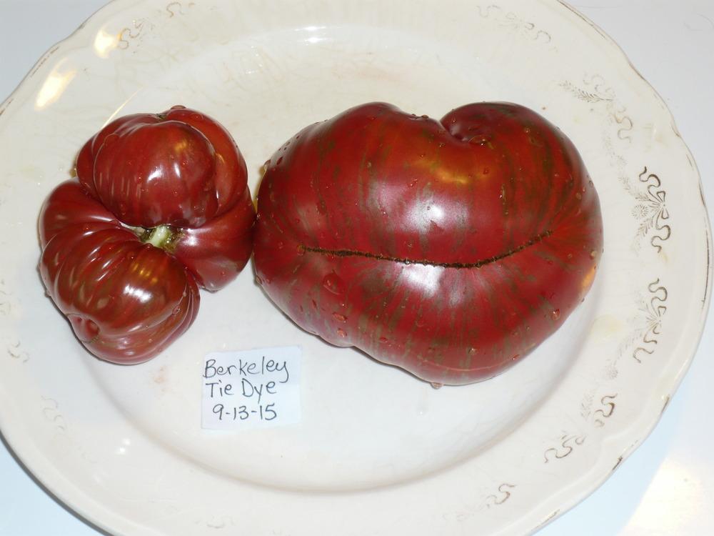 Photo of Tomato (Solanum lycopersicum 'Berkeley Tie-Dye, Pink') uploaded by MrsBinWY