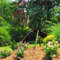 Location: Van der Veer Botanical garden, Davenport, Ia.
Date: 7-1-12