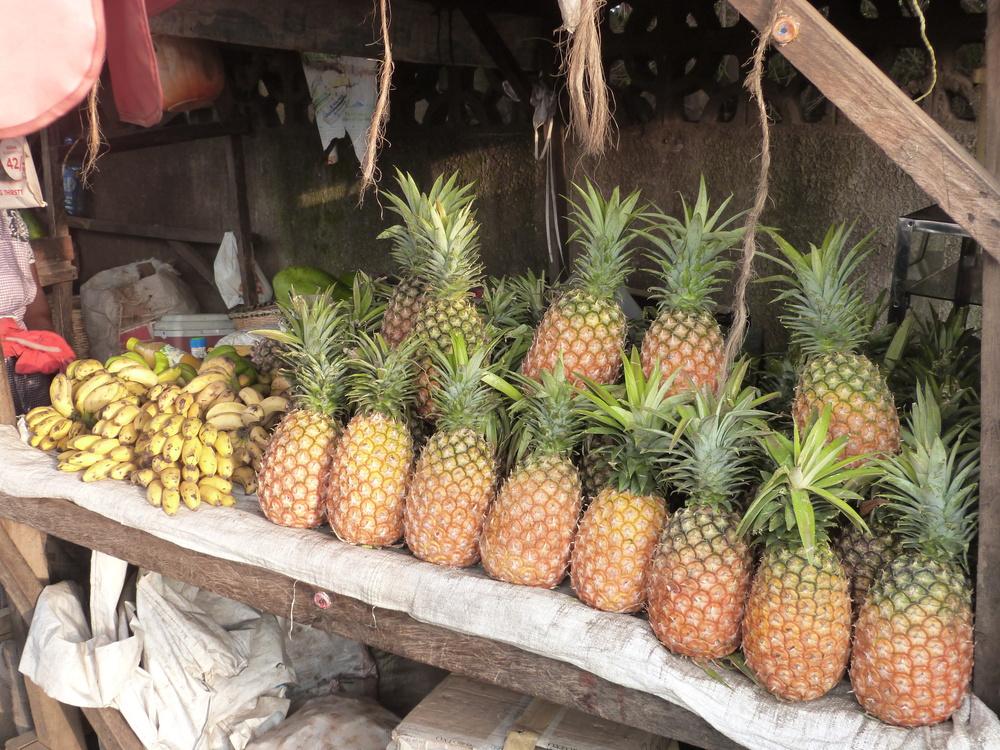 Photo of Pineapple (Ananas comosus 'Smooth Cayenne') uploaded by GeoCoppens