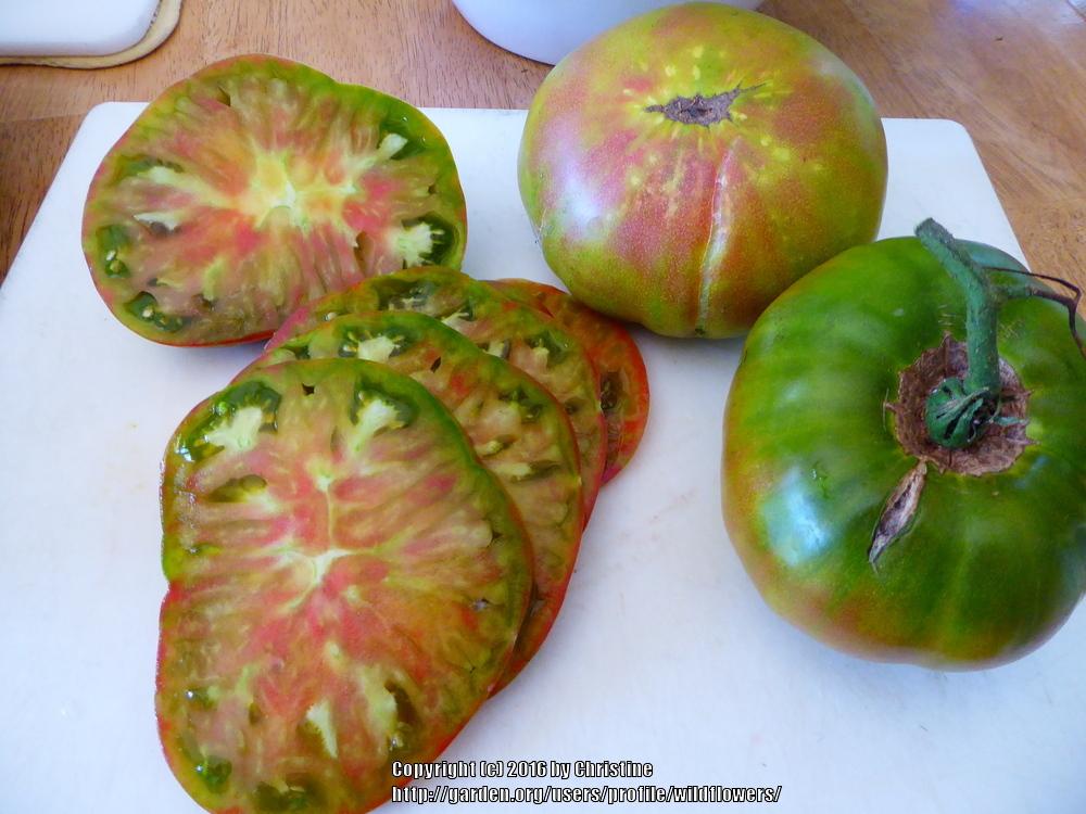 Photo of Tomato (Solanum lycopersicum 'Ananas Noire') uploaded by wildflowers