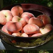 The results of a midday pass as the Saturn peach harvest winds do