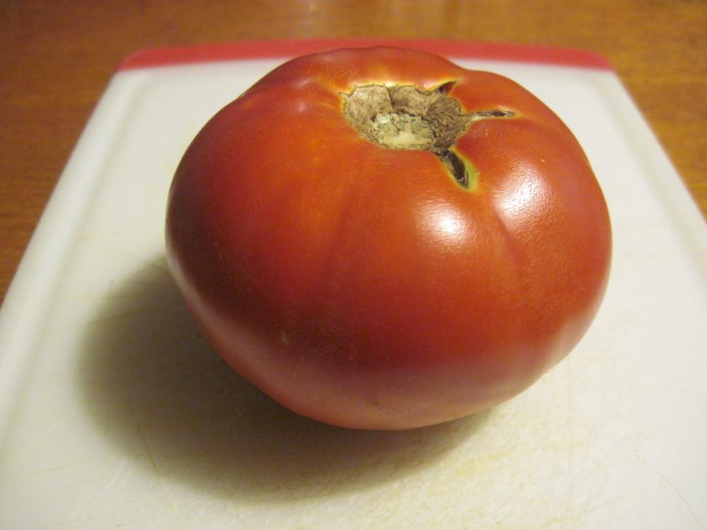 Photo of Tomato (Solanum lycopersicum 'Burpee's Big Boy®') uploaded by robertduval14